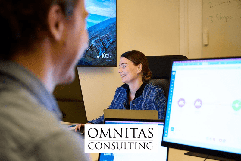 Implementationskonsult till Omnitas Consulting // Stockholm image