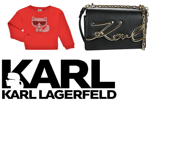Fashion Consultant-Karl Lagerfeld image