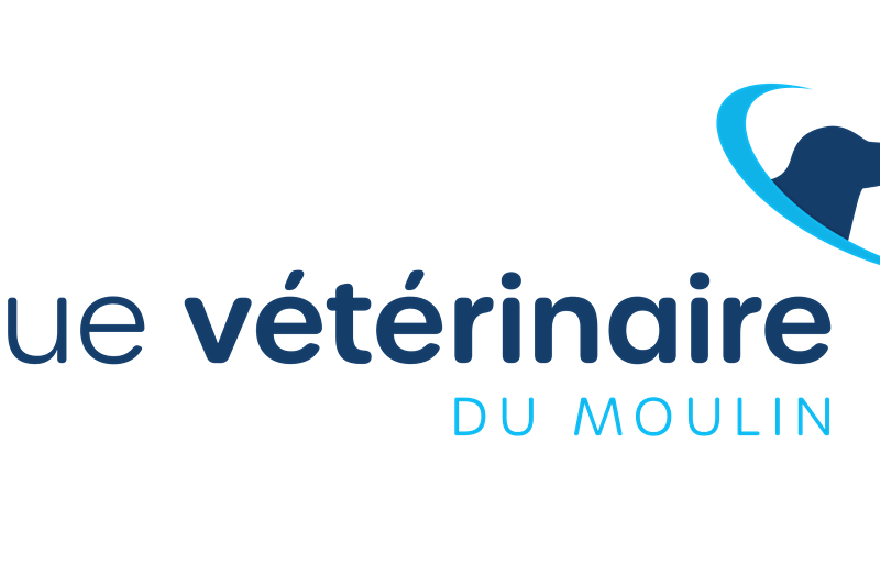 MOULIN - VETERINAIRE GENERALISTE CANIN H/F - PHYSIOTHERAPIE - CDI image