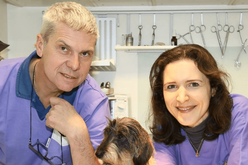 Clinique Vétérinaire des Docteurs Brey et Klein - Vitrolles - Vétérinaire canin en CDD (H/F) image