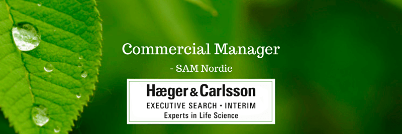 Commercial Manager - SAM Nordic image