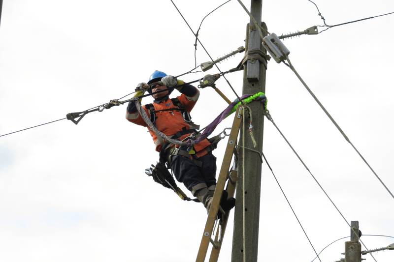 Careers - WEL Networks